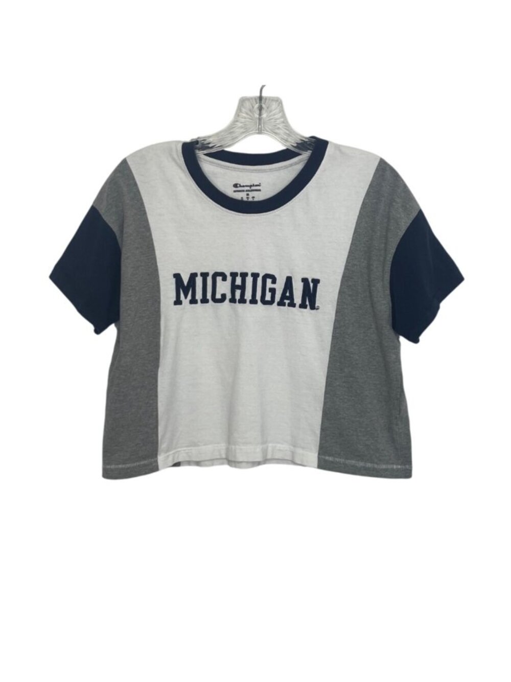 Champion Michigan Colorblock Crop Top Tee Tshirt Medium White Gray Fanwear